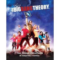 The Big Bang Theory Sezonul 1