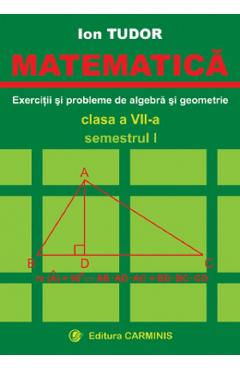 Algebra Liniara Geometrie Analitica Si Diferentiala Probleme Rezolvate