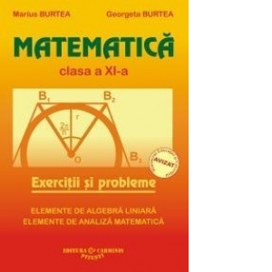 Exercitii Rezolvate Matematica Clasa 10 Algebra