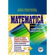 Matematica Clasa 8 Algebra Functii