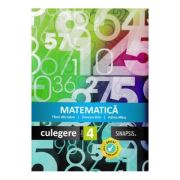 Culegere Matematica Clasa 5 Semestrul 2