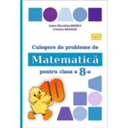 Culegere Matematica Clasa 8