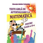 Teste Matematica Clasa 1 Nastasescu